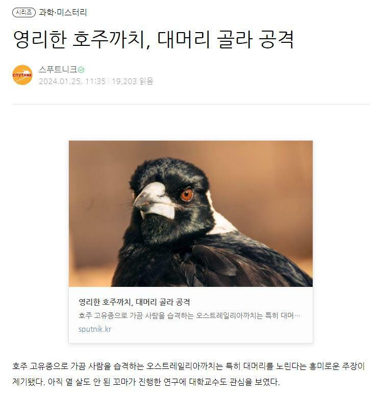까치복사 이미지