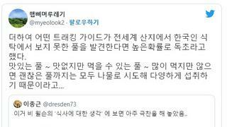 독초주의) 해외한국인 가이드가 읍소하며 한국인들에게 부탁하는 당부말