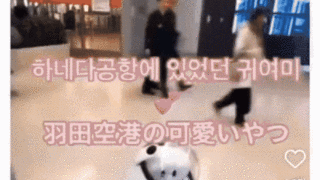 한국어로 말걸자 당황하는 일본 공항 로봇