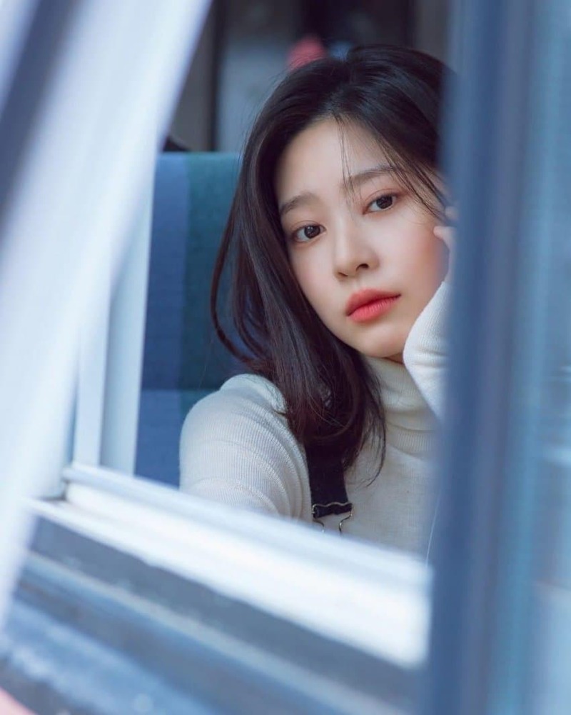 해브리온 이미지