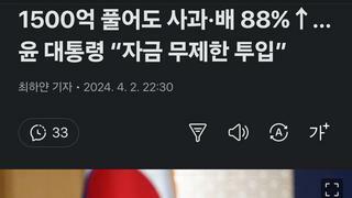 1500억 풀어도 사과·배 88%↑…윤 대통령 “자금 무제한 투입”