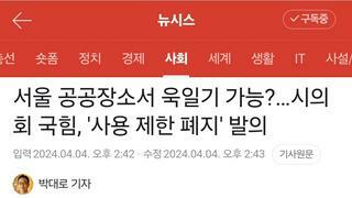 서울 공공장소서 욱일기 가능?…시의회 국힘, '사용 제한 폐지' 발의