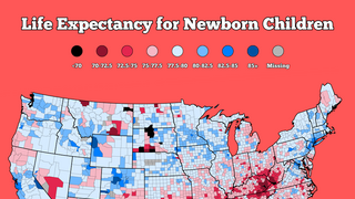 미국 지역별 신생아 기대 수명