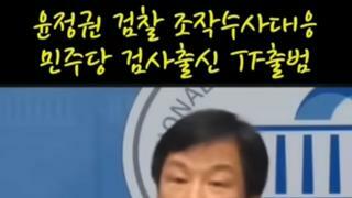 민주당이재명대표 검찰조작수사 대응 tf팀