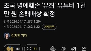 조국 명예훼손 '유죄' 유튜버 1천만 원 손해배상 확정