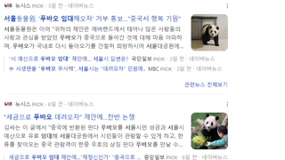 서울동물원, '푸바오 임대해오자' 거부 통보