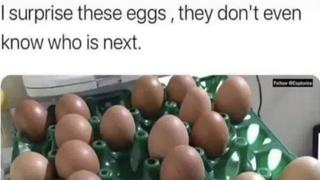 계란 오래 보관하는 방법(?)