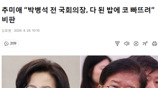 추미애 “박병석 전 국회의장, 다 된 밥에 코 빠뜨려” 비판