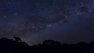 아마존 밤 하늘