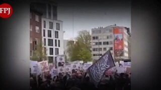 독일 함부르크 이슬람 집단 시위 영상