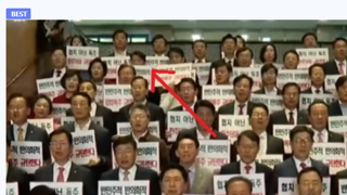 '채상병 특검법 통과' 누리꾼 