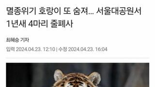서울대공원 호랑이들이 죽은 원인