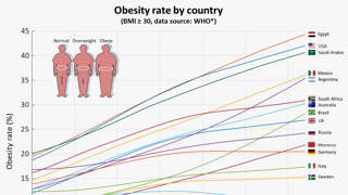 나라별 비만율 변화