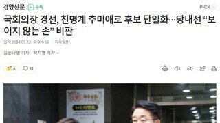 국회의장 경선, 친명계 추미애로 후보 단일화···당내선 “보이지 않는 손” 비판