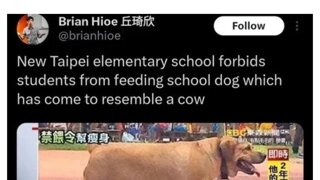 대만의 한 초등학교에서 금지시킨것.jpg