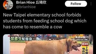 대만의 한 초등학교에서 금지시킨것.jpg