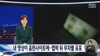 불법 촬영물 유포돼도 삭제 막막‥"국제사회 규범 필요"