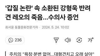 '갑질 논란' 속 소환된 강형욱 반려견 레오의 죽음…수의사 증언