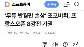 '무릎 반월판 손상' 조코비치, 프랑스오픈 8강전 기권