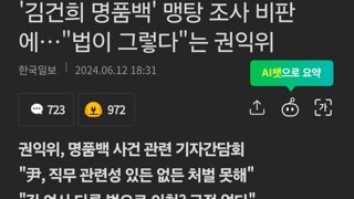 '김건희 명품백' 맹탕 조사 비판에…