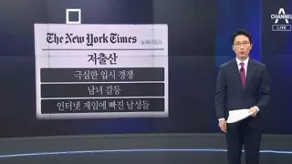 뉴욕 타임즈가 분석한 한국 저출산 원인 3가지