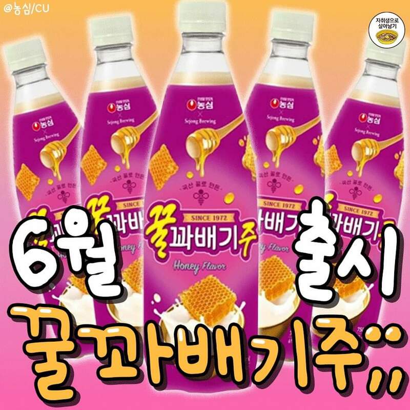 메이플스토리 인벤 : 꿀꽈배기맛 주 등장! - 메이플스토리 인벤 자유게시판 꿀꽈배기맛 주 등장!
