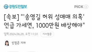 송영길 허위 성매매 의혹' 언급 가세연, 1000만원 배상해야