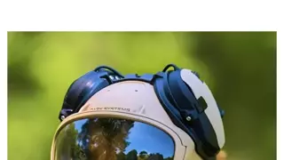 댕댕이 전용 특수부대 헬멧