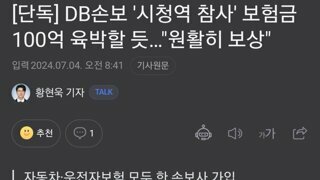 [단독] DB손보 '시청역 참사' 보험금 100억 육박할 듯…
