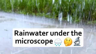 현미경으로 본 빗물의 모습