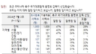 한국갤럽 홍명보 선임 잘한 일 47%