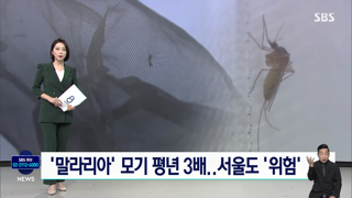 '말라리아 모기' 3배 급증, 서울도 위험하다
