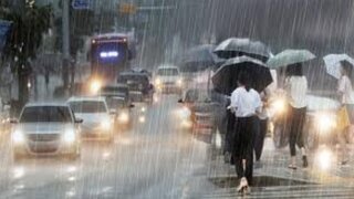 내일 수도권 '걷기 힘들 정도' 폭우 온다