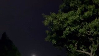 야간 훈련 하는 라쿤