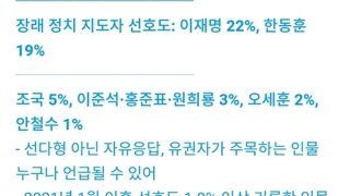 갤럽) 차기 대권 선호도 이재명 22% 한동훈 19%