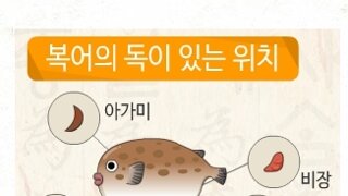 사실상 한국, 일본만 주로 먹는다는 생선