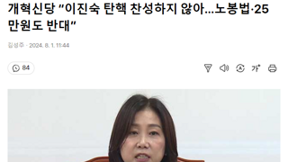 개혁신당 “이진숙 탄핵 찬성하지 않아…노봉법·25만원도 반대”