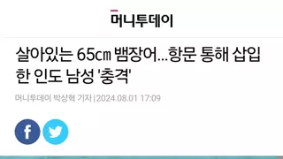 뱀장어를 똥꼬에 삽입