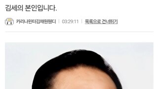 이근에게 분노해서 일베에 글쓴 가세연 김세의