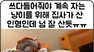 냥을 위한 인형