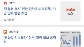 21년만에 외평채 발행