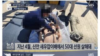 신안 새우잡이 배 살인사건 CCTV가 밝힌 진실