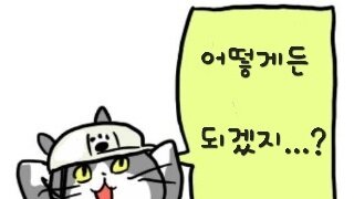 보수는 첫 경험이 늦다