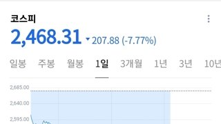 곱버스 투자 1위가 개미들이라던데