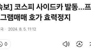 [속보] 코스피 사이드카 발동…프로그램매매 호가 효력정지