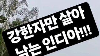 약한 자는 이미 죽고 없는 인도