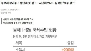 6월까지 세수 10조 펑크