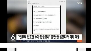 법인차 연두색 번호판 시행 그후