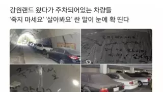 강원랜드 전당포 알바