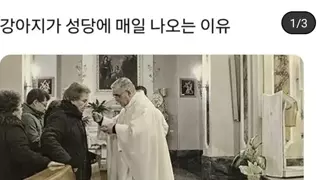 댕댕이가 성당에 매일 나오는 이유